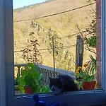 Montagne Noire Et Douce Quietude Pensionat