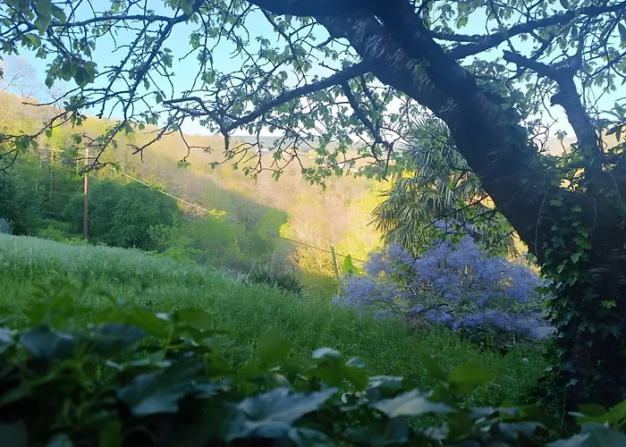 Affittacamere Montagne Noire Et Douce Quietude Lespinassiere